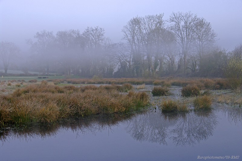 "Wetland"
 
Álbumes del atlas: neblina