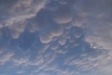 "Mammatus Clouds and Cumulonimbus"