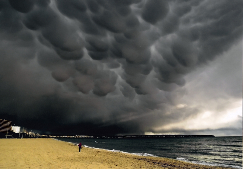 Tras la tormenta
Foto ganadora del Concurso
