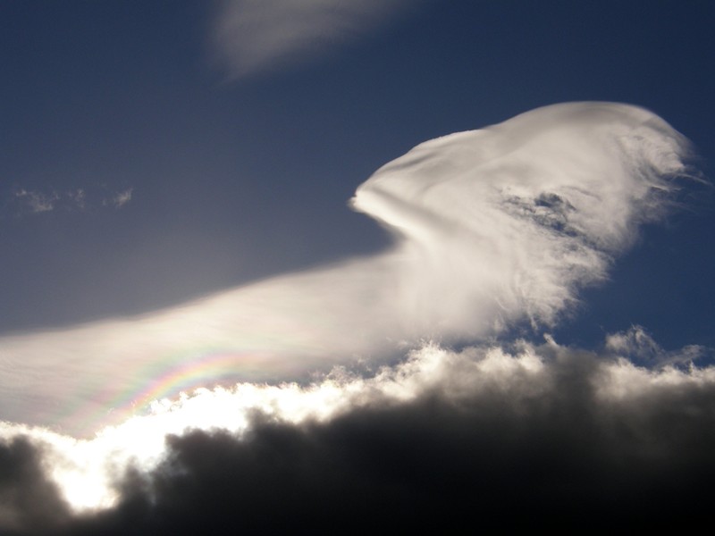 Fantasma irisado
Nube fantasma con irisaciones sobre una capa de estratocúmulos al atardecer.
Álbumes del atlas: irisaciones