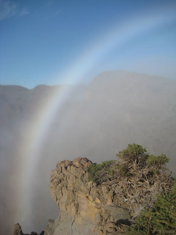 Arco de niebla o fogbow
Fotografía tomada desde las cumbres de la isla de La palma desde el borde de la niebla
Álbumes del atlas: arco_de_niebla