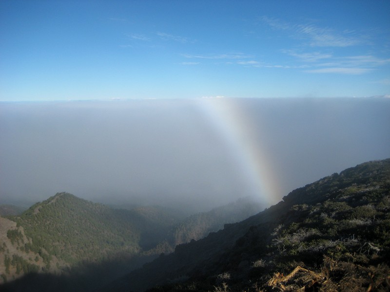 Arco de niebla o fogbow
Fotografía tomada desde las cumbres de la isla de La Palma desde el borde de la niebla
