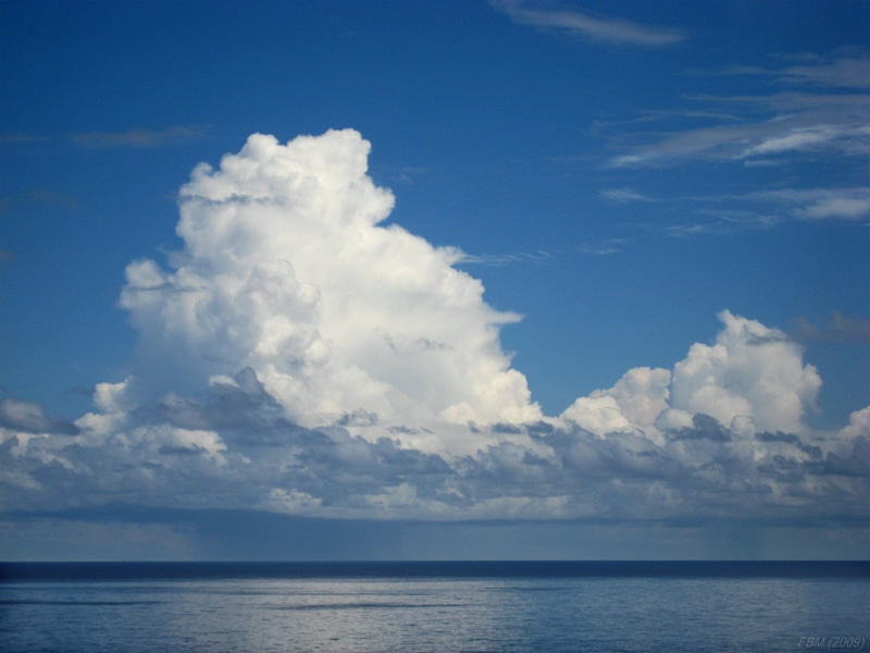 Precipitando sobre el mar
Esta nube es una de las "protagonistas" en este vídeo [i]timelapse[/i]:
[b]http://www.youtube.com/user/nambroque#p/u/68/cfXxIYarCVk[/b]
