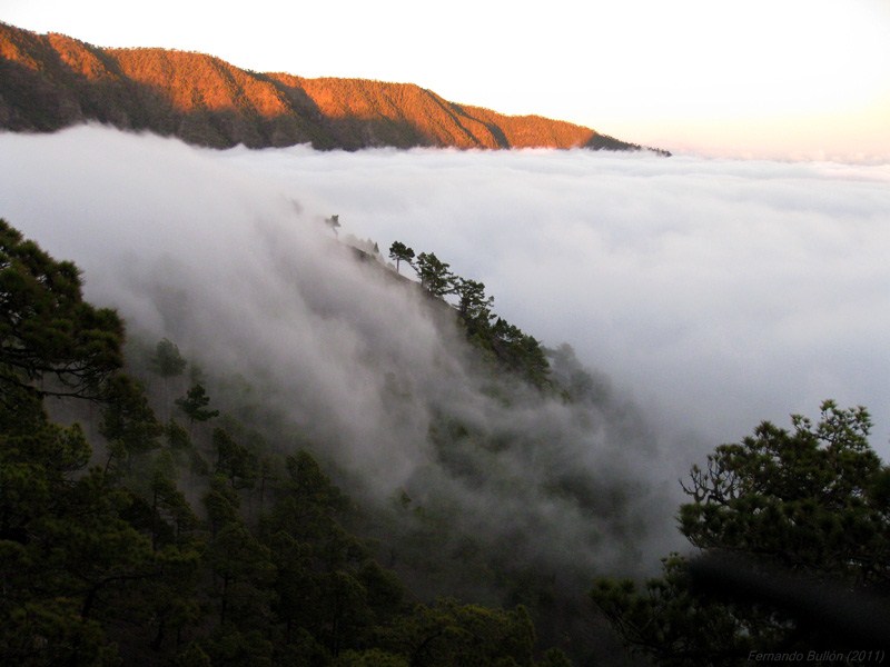 Cascada de nubes en el Pico Bejenado
Álbumes del atlas: mar_de_nubes