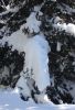 Nieve acumulada sobre ramas AME.JPG