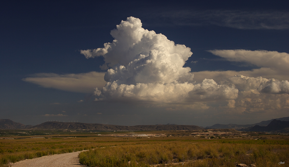 Cumulonimbos del final del verano
Septiembre de 2005, las nubes creciendo verticalmente sobre la Vega del Segura.
