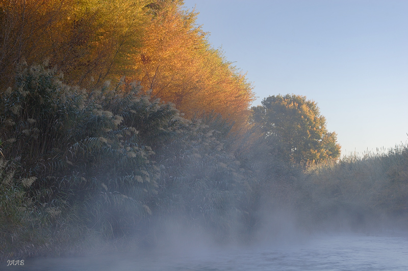 Niebla segureña
Otoño en la Vega Alta del Segura. Mañana fría con el río humeante. Niebla sombría que contrasta con la luminosidad del amanecer, unos metros por encima de este escenario lúgubre.
Álbumes del atlas: niebla_desde_dentro