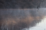 Neblina fluvial