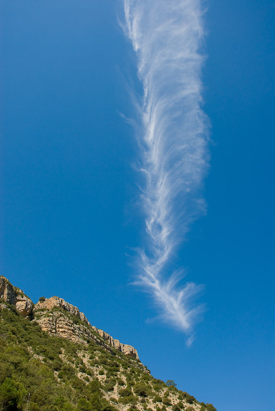 Cirrus vertebratus
"Sobre Ademuz"

Me llamó la atención la forma alargada de ésta nube, si alguien sabe su nombre agradeceria la información, saludos 

(Nota Fotometeo. Cirrus vertebratus)
