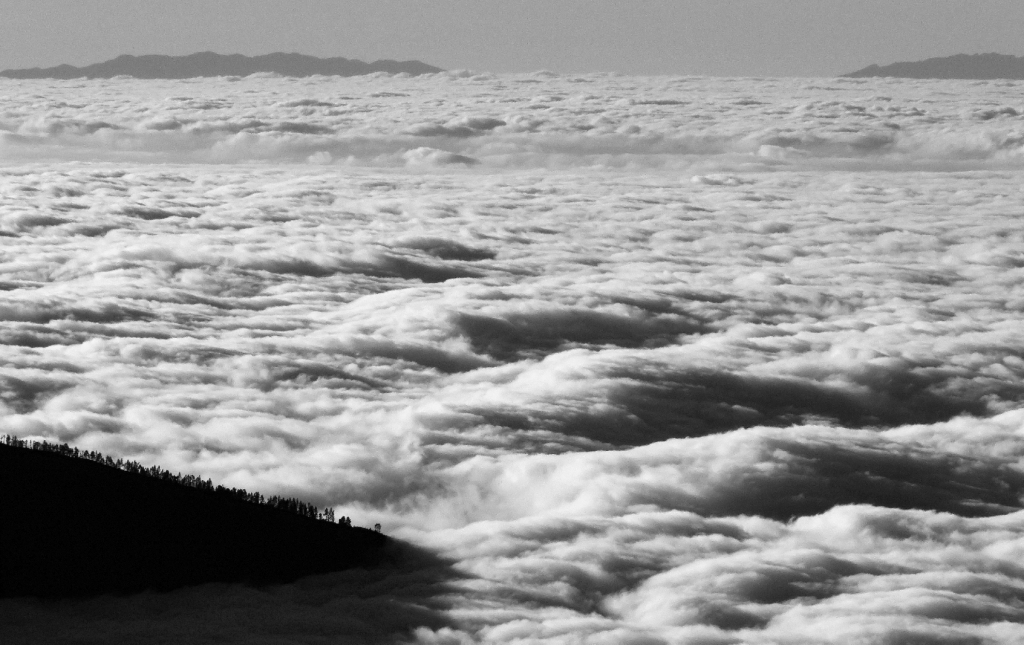 "Olas en el mar de nubes"
Ahora volvemos de nuevo al final del año y nos encontramos, al atardecer, estas ondulaciones en el mar de Stratocumulus, como si de un mar de agua líquida se tratara. Lo curioso es que efectivamente se trata de un mar de agua líquida, pero muy diferente al océano. Al fondo pueden apreciarse las cumbres de la isla de La Palma

