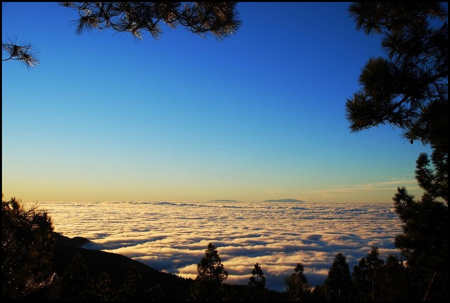 Mar de nubes
Entre los pinos
Álbumes del atlas: mar_de_nubes