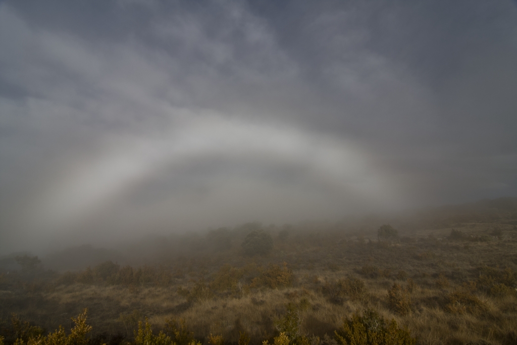 Arco de niebla
Aco de niebla en el coll de Montllobar Pallars Jussà en el prepirineo leridano

