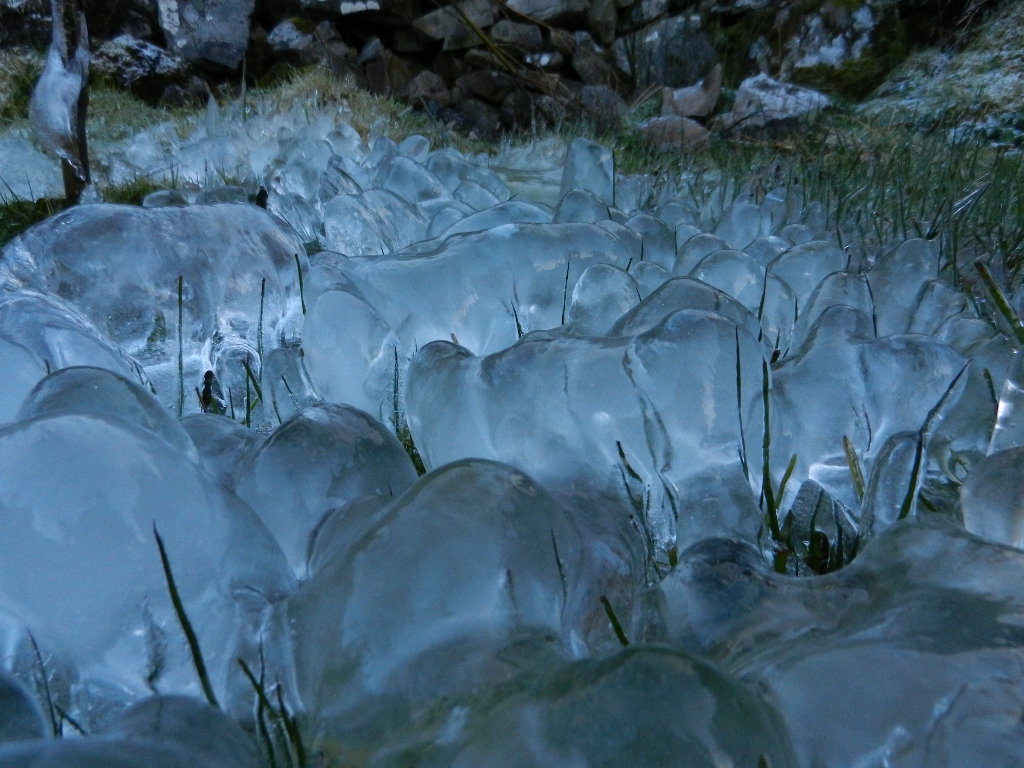 Hielus mammatus
hielo formado alrededor de una fuente después de una fuerte helada, al salpicar el agua de la fuente el hielo formó estas bonitas formas
Álbumes del atlas: helada