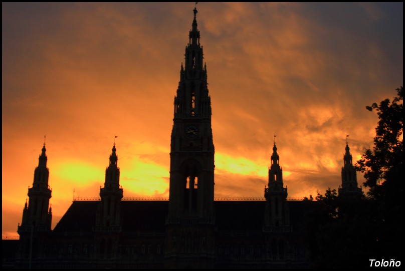 Vistoso atardecer el que se dio con las torres del Ayuntamiento de Viena de testigos.
Álbumes del atlas: aaa_no_album