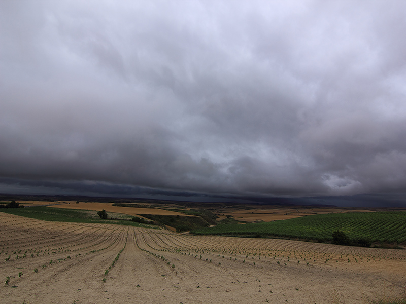 Estratada postconvectiva
Aquella fue una de tormentas por La Rioja Alta que acabó con los cielos cubiertos de estratos con la llegada del viento N. Aunque no era visibles por la situación, la foto estaba hecha hacia la Sierra de la Demanda, donde caían chubascos tormentosos.
Álbumes del atlas: ZFV14 chaparron