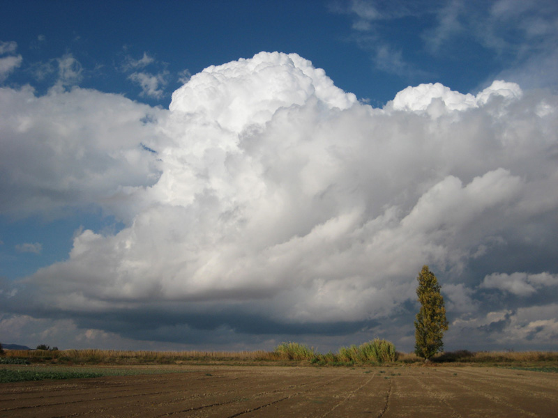 Enorme nube
En un momento iba perdiendo su gran tamaño y su bonita forma inicial.
Álbumes del atlas: cumulos_congestus