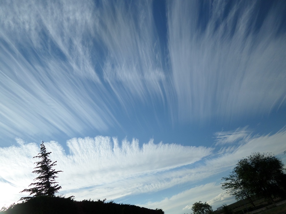Cirro toma 1
Intentaré en seis fotos o tomas, trasmitir la belleza de estas nubes en este día de mayo.
