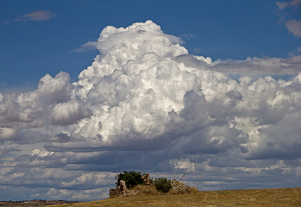 La nube
De las pocas nubes que hemos visto este verano
Álbumes del atlas: cumulonimbus_calvus velum
