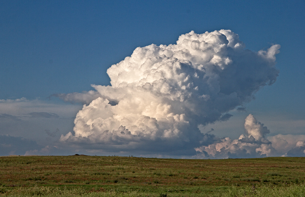 Cumulonimbus
Esta nube cumulonimbus creció rapidamente alcanzando un tamaño considerable
