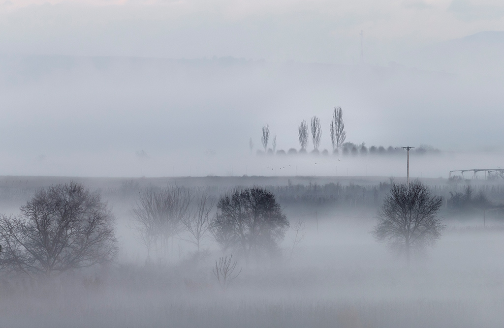 Nieblas
Niebla típica de Lleida que le da al paisaje un encanto especial
Álbumes del atlas: neblina