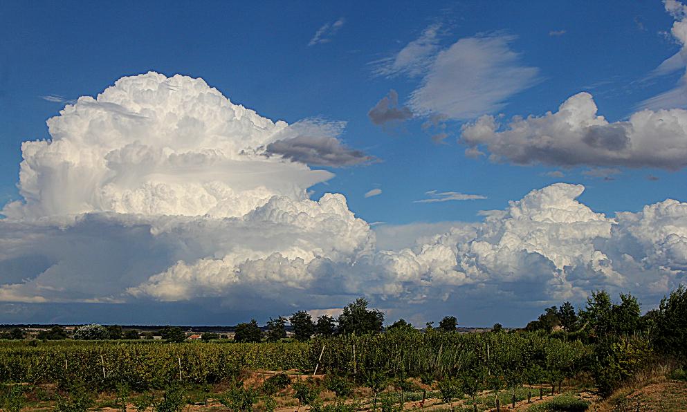 Temidas nubes
En pleno agosto cuando la fruta está a punto de recolección, estas nubes que amenazan tormenta son un peligro ya que a veces vienen cargadas de granizo.

