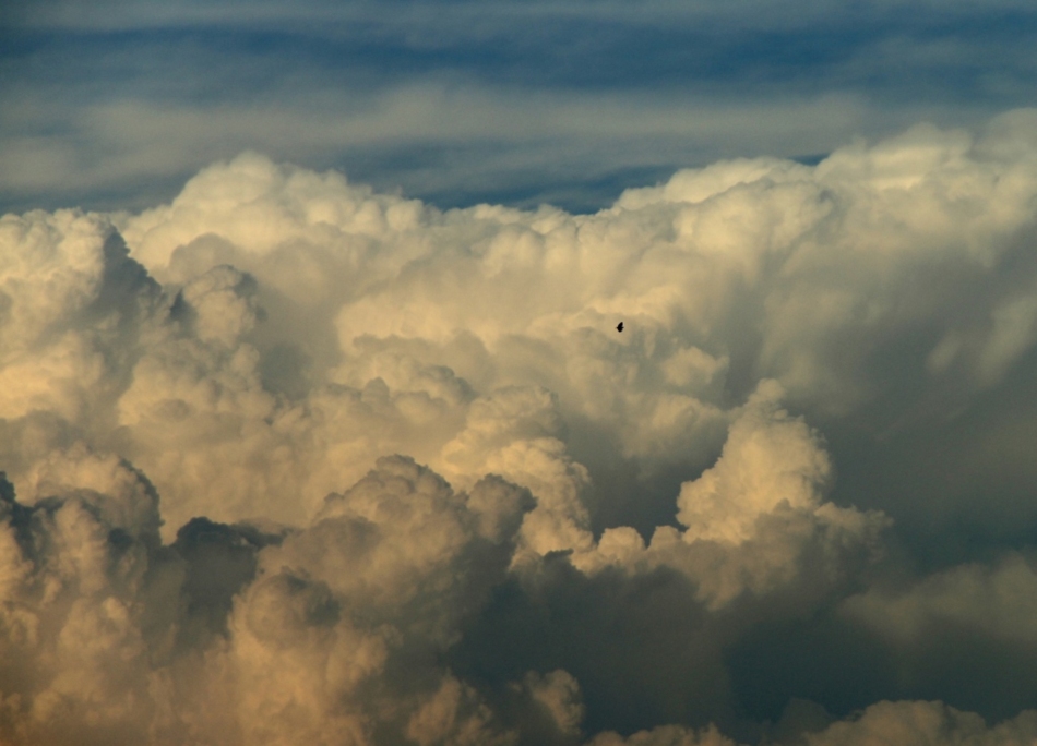 vuelo entre nubes
Fotografia tomada una tarde de abril que se formó un cumulonimbus de aspecto denso y muy llamativo, parecia que daria lugar a una tormenta, pero no fué así, poco a poco se desvaneció, dejando paso a un cielo claro y despejado pero dejando unas bonitas imagenes.
