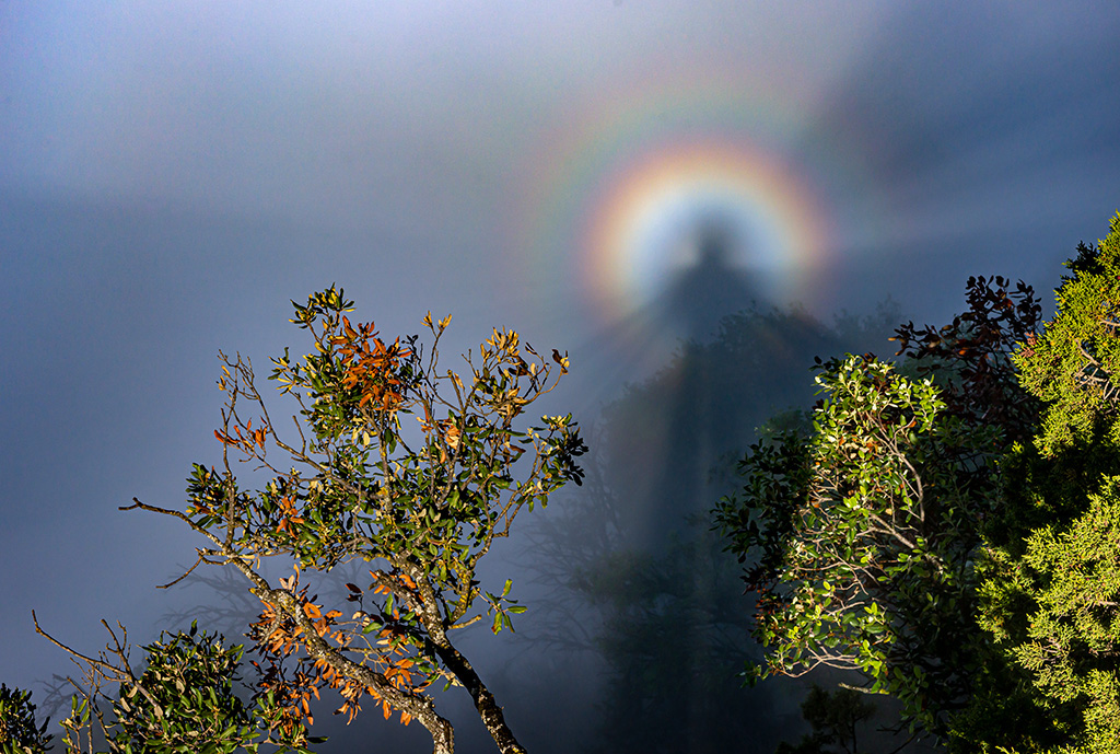 Espectro de Brocken...
8 de junio de 2021 en Tavertet, desde los abismos pude capturar este vistoso Espectro de Brocken sobre el embalse de Sau cubierto de niebla.
Álbumes del atlas: gloria espectro_de_brocken