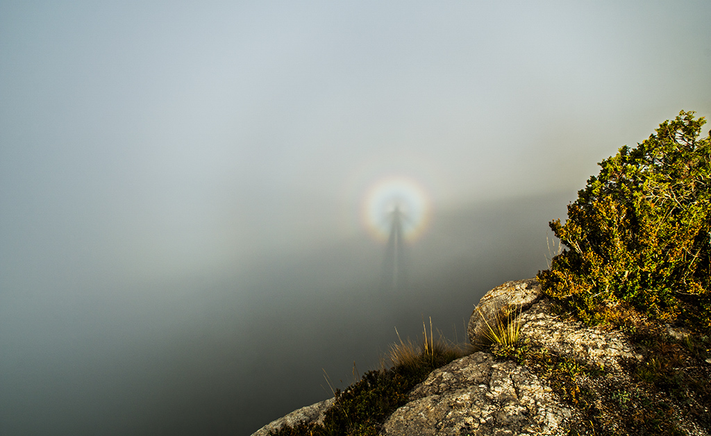Espectro de Brocken en verano
En pleno mes de agosto un Espectro de Brocken, pues si, este lo pude fotografiar en un lugar habitual de nieblas, el valle de Sau desde los abismos de Pla Boixer.
Álbumes del atlas: ZFV17 gloria espectro_de_brocken
