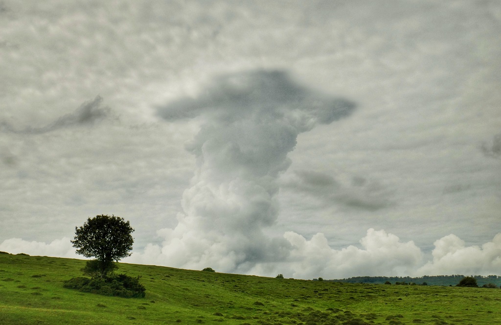 Amanita nubosa
Mientras daba un paseo en bici por la sierra de Urbasa,  me sorprendió gratamente esta curiosa nube.
Álbumes del atlas: ztertuliafv23
