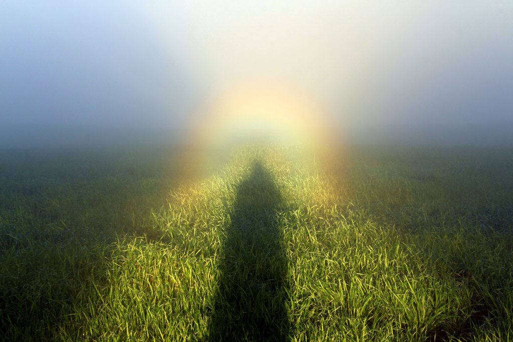 Espectro de Brocken
Con una mañana de niebla densa i un único rayo de sol que penetraba entre la niebla detrás de mí. hubo bastante para formar-se este espectacular Espectro de Brocken.

