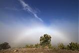 Arco de Niebla