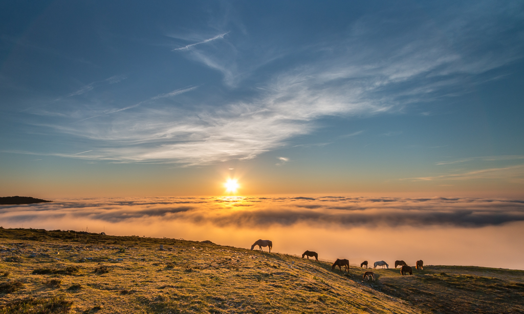 La estrella de la niebla
preocaso en la sierra de bobia, asturias, con un alucinante mar de niebla y la guinda de los caballos salvajes en primer plano
