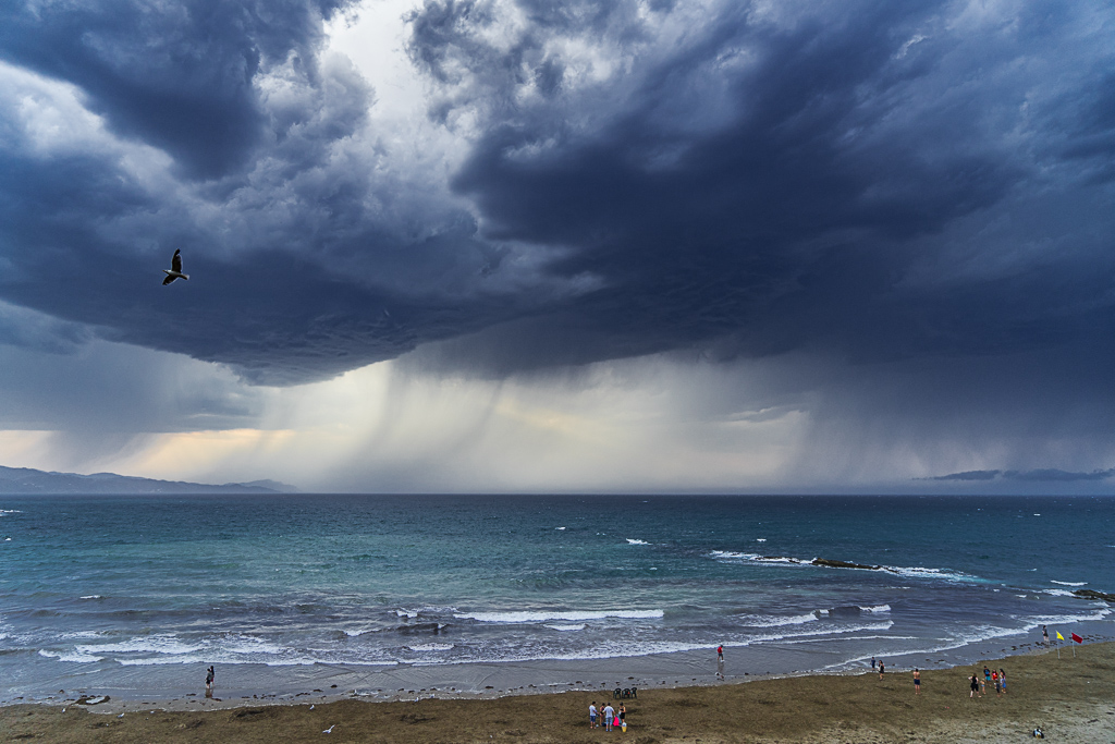 PRECIPITACION MARINA 2
Un paso de tormentas circulo frente a la costa de Zumaia, dejando cortinas de precipitación y más tarde unos cuantos rayos.
Álbumes del atlas: praecipitatio