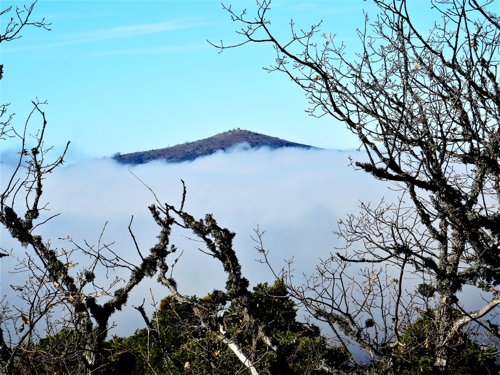 Niebla en el valle
Sierra de Guadarrama, Valle de Valsaín. Un dia de Invierno con nubes cubriendo el valle.
