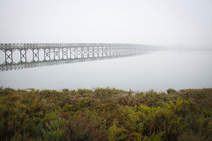 Niebla sobre el puente en la Ria Formosa
Álbumes del atlas: aaa_no_album