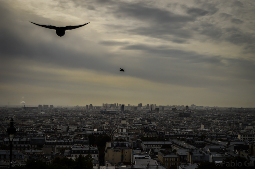 Altostratus y Altocumulus
"Sobrevolando París"

Las aves acarician las nubes en una estampa otoñal en el cielo de París
