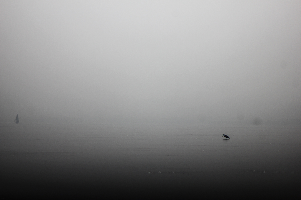 Niebla
Niebla en el Mar Menor
Álbumes del atlas: niebla_desde_dentro