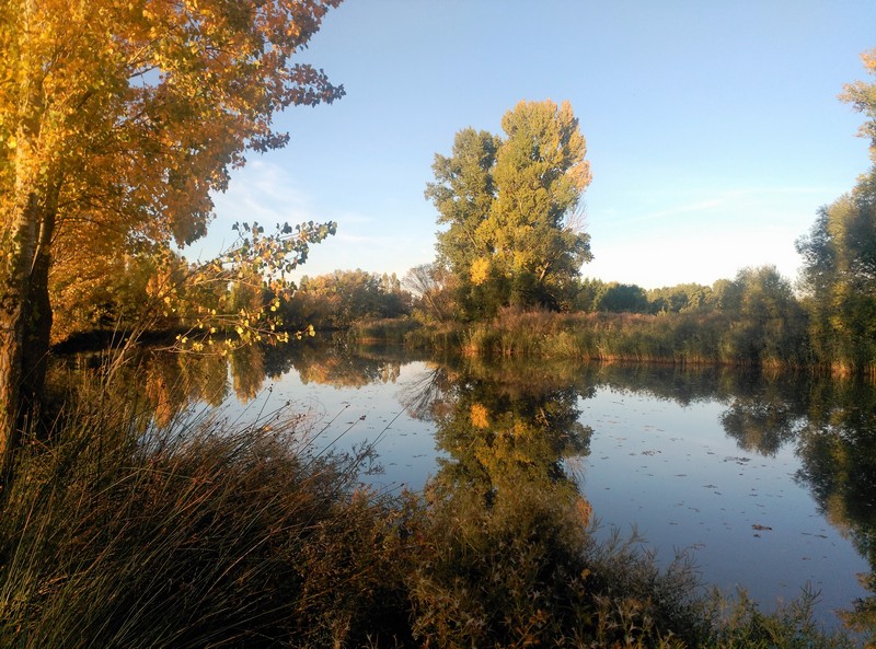 Reflejos en el agua
Fotografía del Río Duero a su paso por Almazán (Soria), donde se refleja la belleza de la vegetación. 
Álbumes del atlas: aaa_no_album