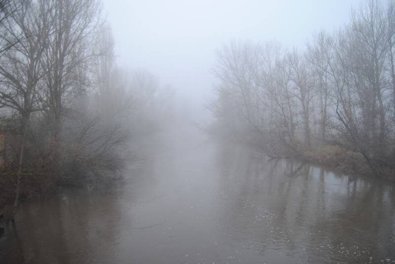 Niebla en el río Duero
Niebla en el río Duero, a su paso por Almazán (Soria).
