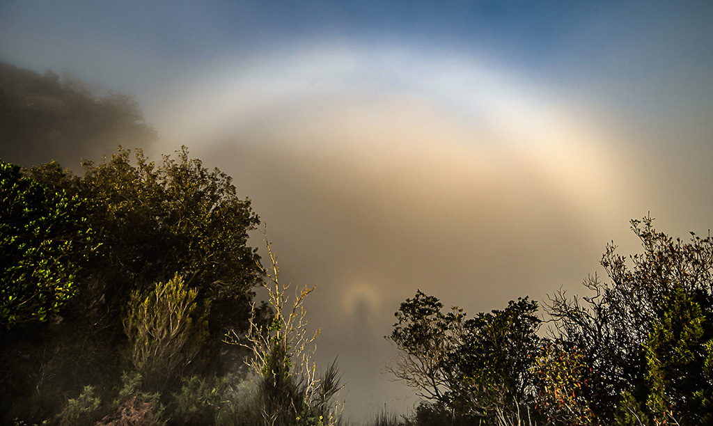 Arco con espectro
Imagen de un espectro de Brocken y arco de niebla . También se le conoce como espectro de montaña o 'luz santa'. Uno de los fenómenos ópticos naturales que nos ofrece la niebla en este caso veraniego
Álbumes del atlas: ztertuliafv23
