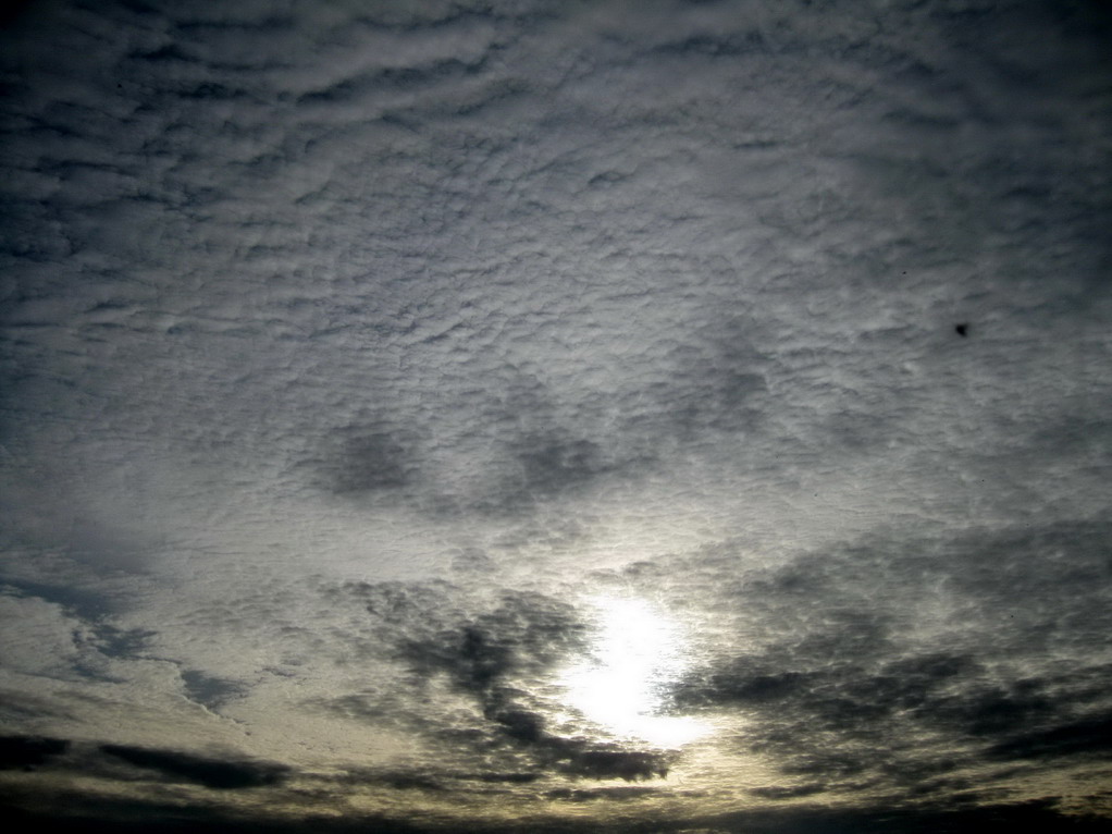 Altocumulus perlucidus
Nubes en torno al sol
