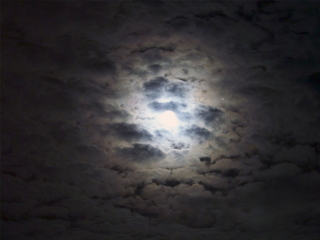 Altocumulus stratiformis translucidus perlucidus
"Aparición lunar"

Noche de cielo nublado con luna, crea un aspecto de terror.

