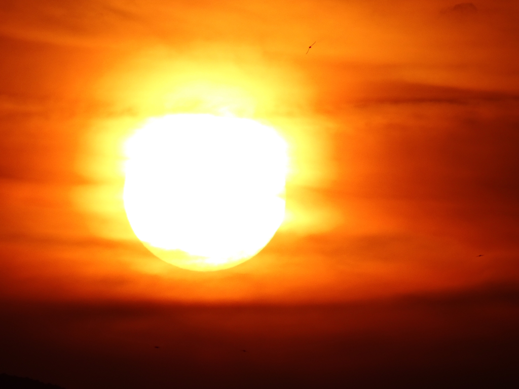 sol de verano
El sol, que parece fuego, ilumina el atardecer
Álbumes del atlas: aaa_no_album