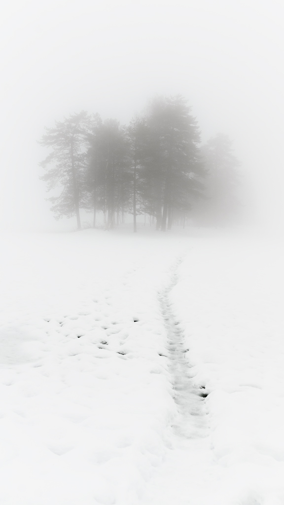 Sognsvann
La densa niebla junto con la abundante nieve nos regala esta minimalista estampa invernal del lago Sognsvann en Noruega.
Álbumes del atlas: aaa_no_album