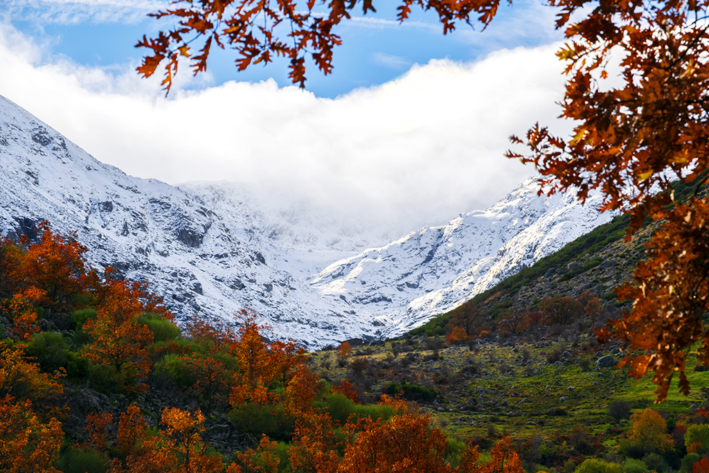 Primeras nieves
Contraste entre el colorido del valle y el blanco y gris de los picos nevados envueltos en nubes bajas
Álbumes del atlas: aaa_no_album