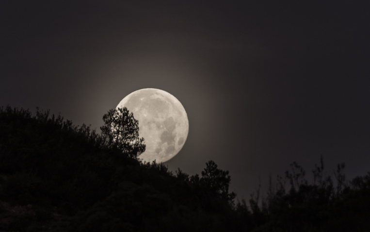 Última luna del 2018
La luna se  duerme entre los árboles del Massís dels ports
