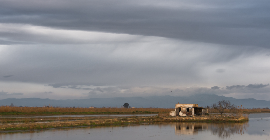 Dia de Lluvia 
Nos levantamos con un nuevo frente en el Delta del Ebro que nos deja lluvias i frio
