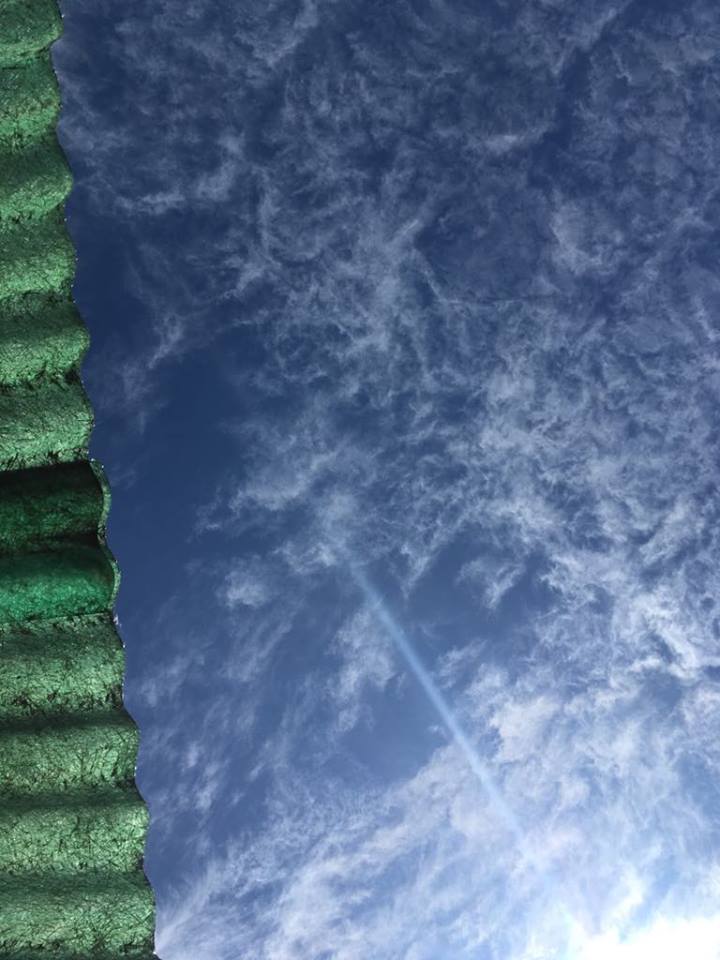 verde-azul
Vemos el impresionante combinación de un medio día, con los colores de un techo de lamina
Álbumes del atlas: aaa_no_album