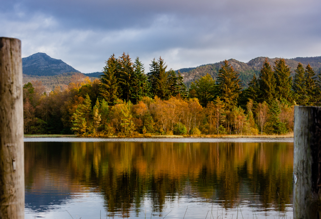 Otoño en el lago
Vista del lago y el cambio de color en las hojas desde el embarcadero.
