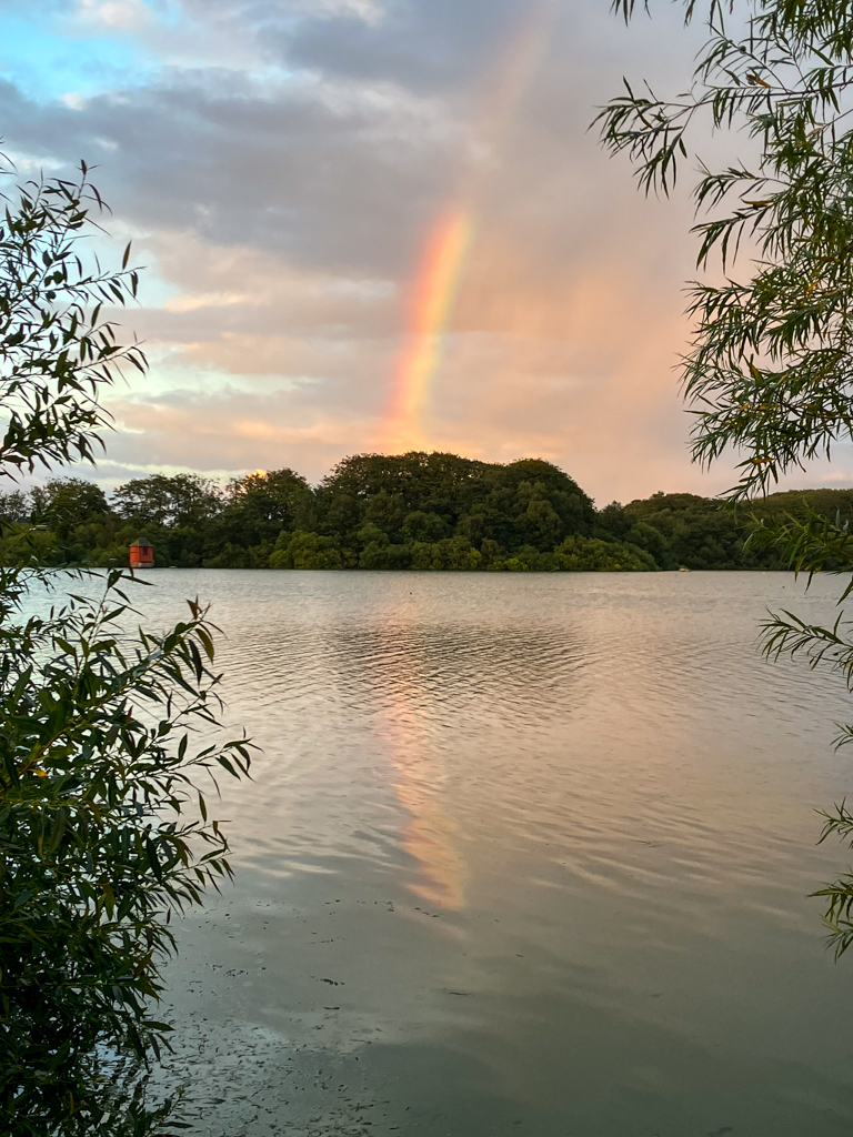 Arco iris en el lago
Un arco iris aparecio despues de una tormenta en el lago
